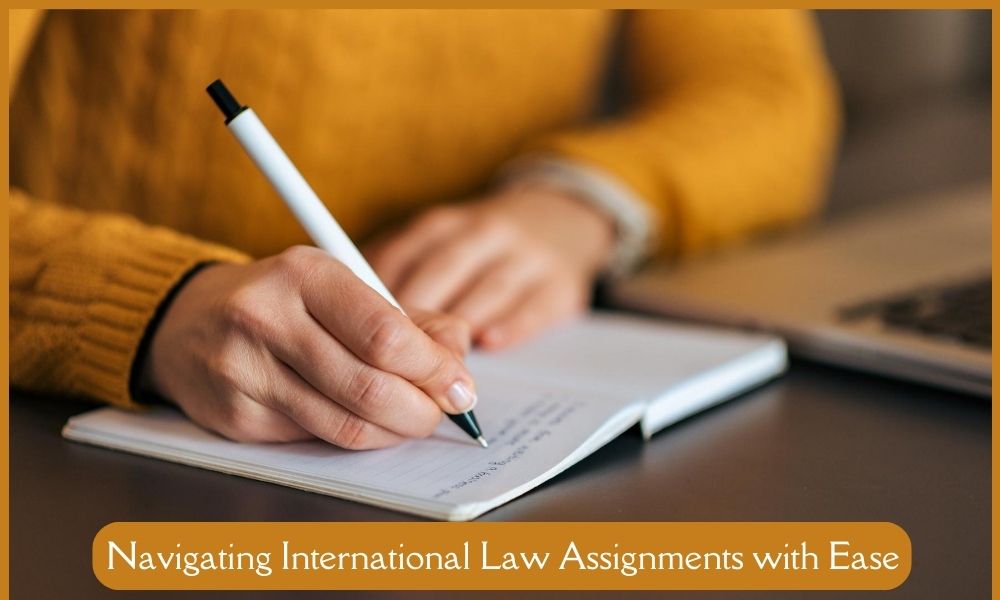Navigating International Law Assignments with Ease